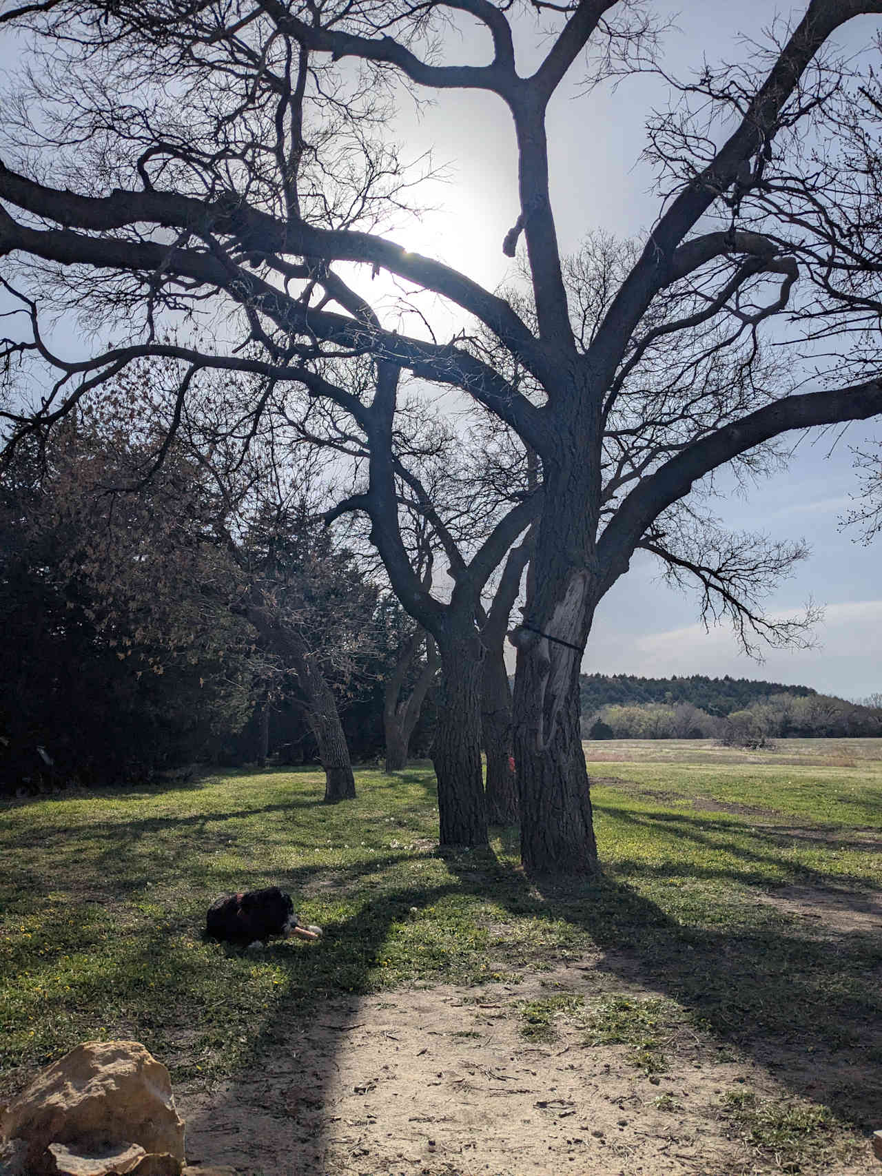 C2T Ranch on the Saline River