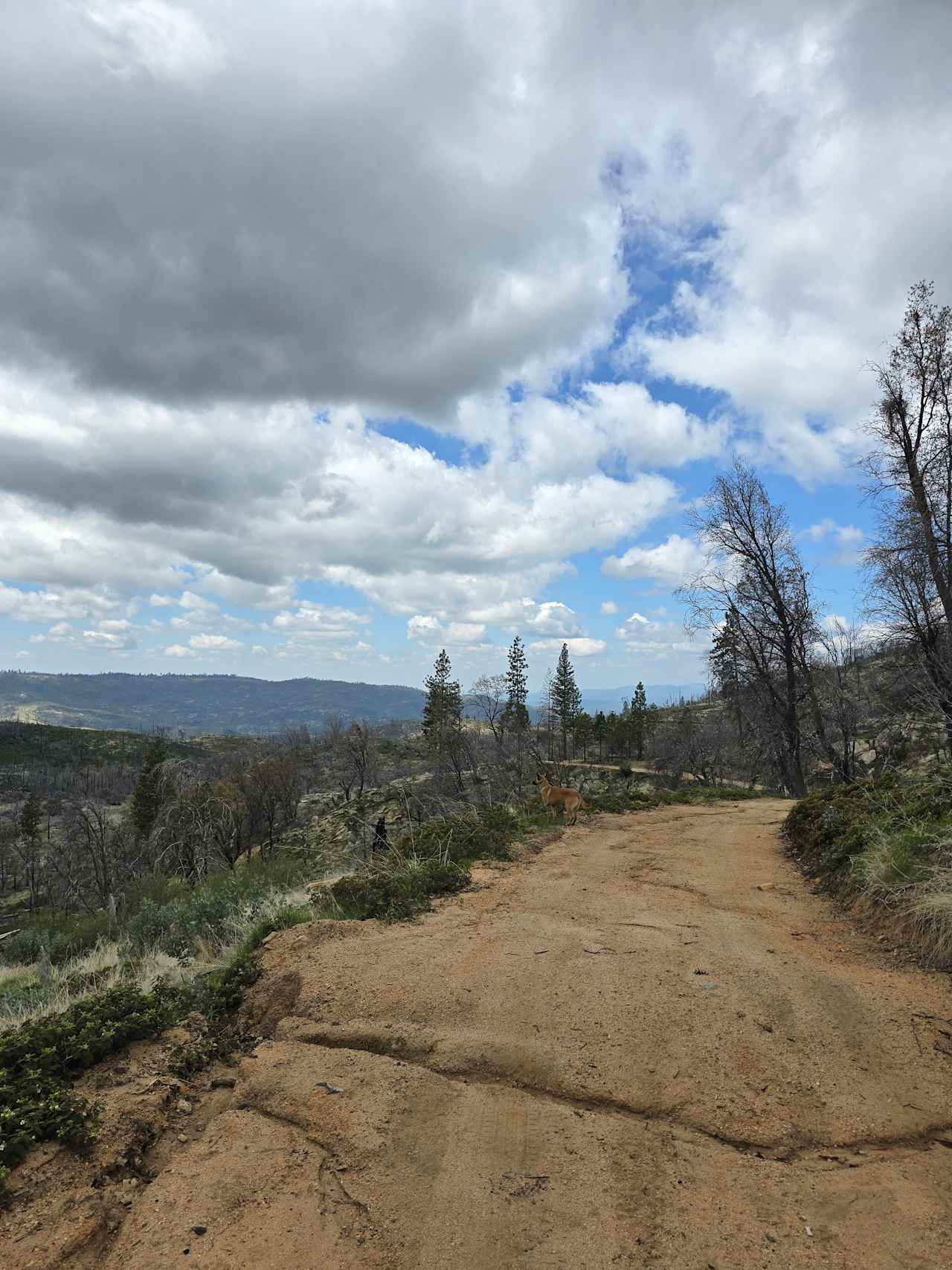 Hiking roads