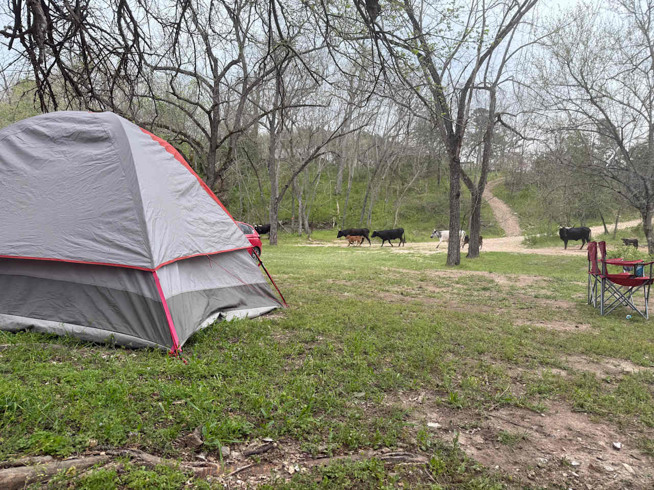 Creekside Camping at Rocky Acres