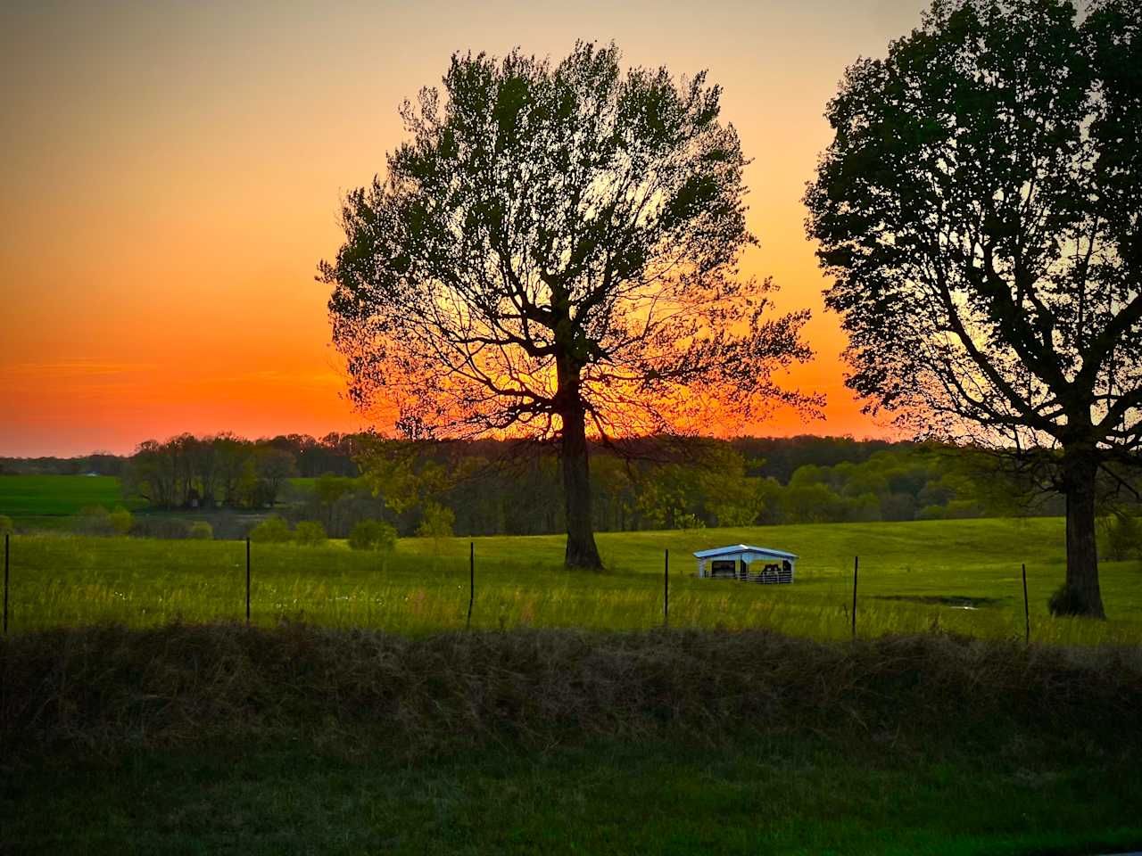 Gorgeous sunsets and night skies.