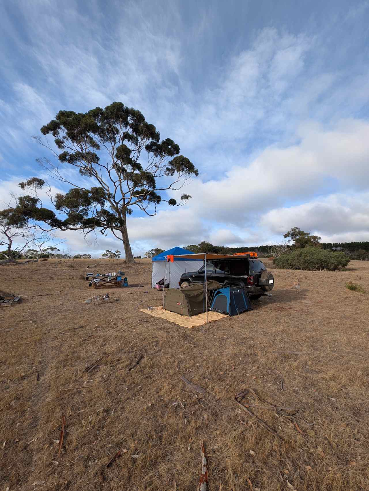 Kangaroo Island Jump Off Road