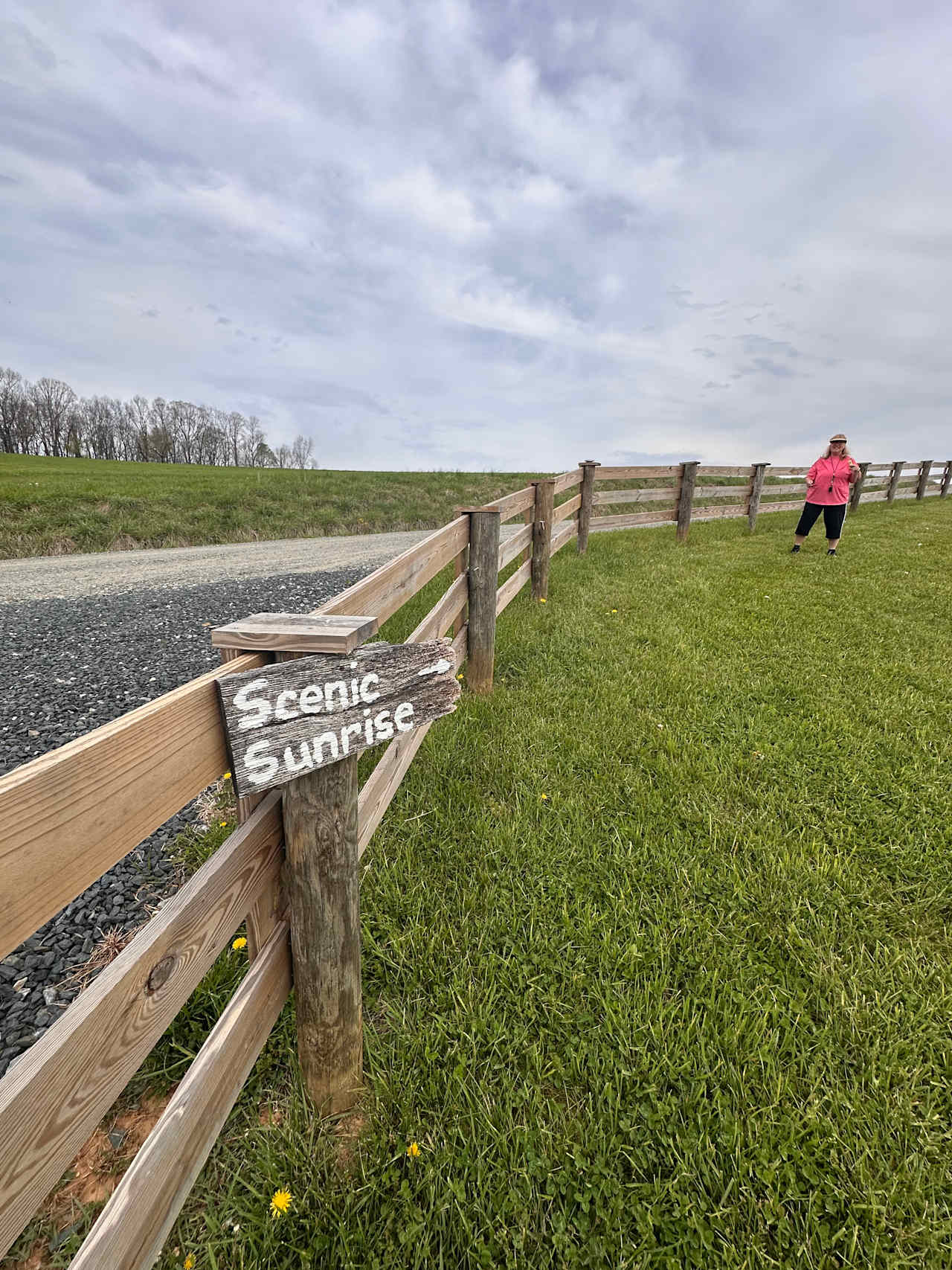 Scenic Sunrise trail to the top of the hill with a expansive view.