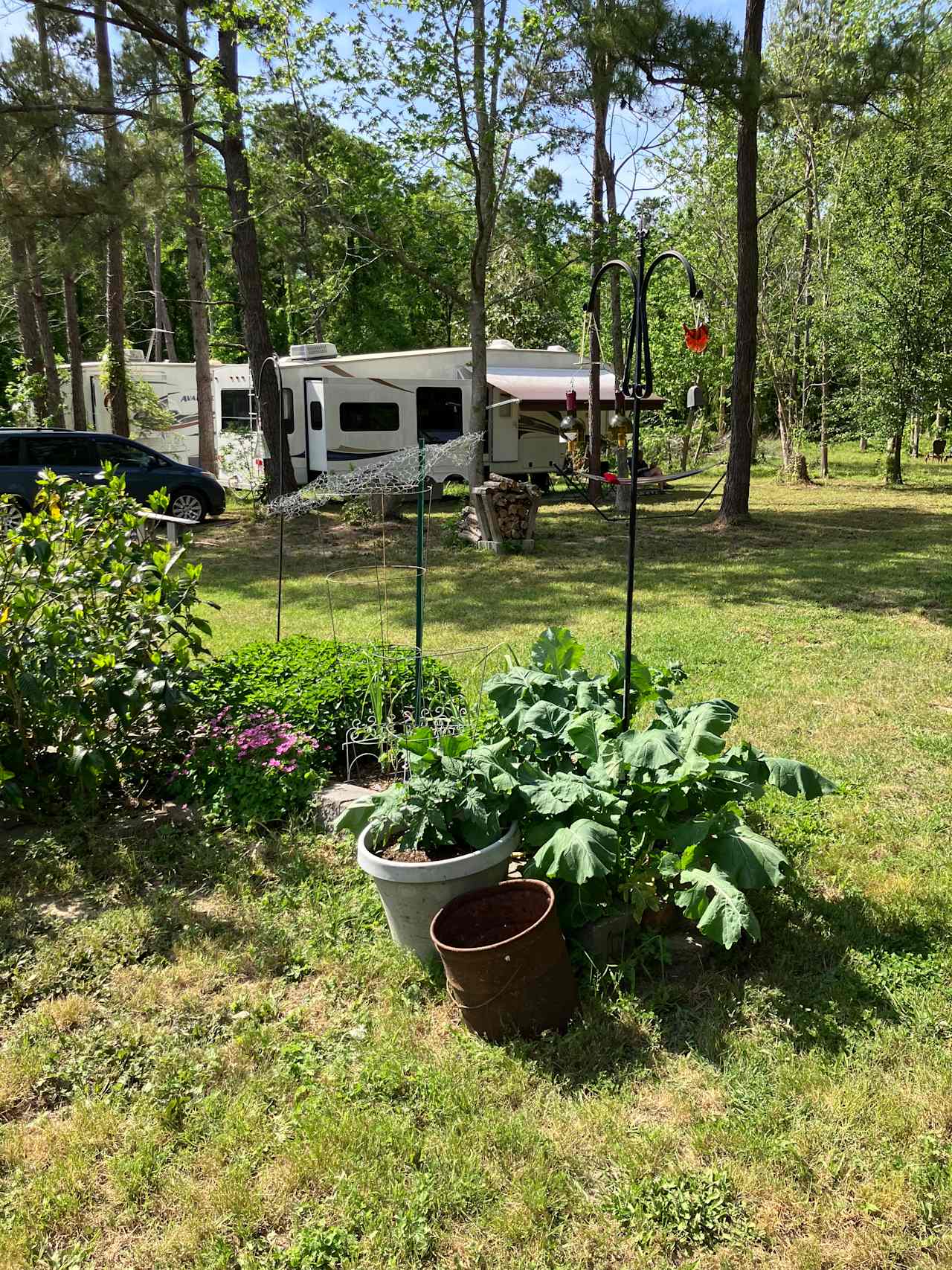Patricia’s little garden