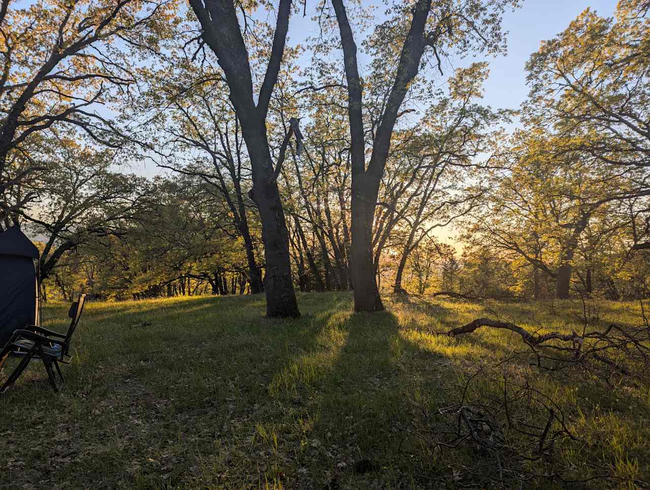 Sunnybrook Ranch