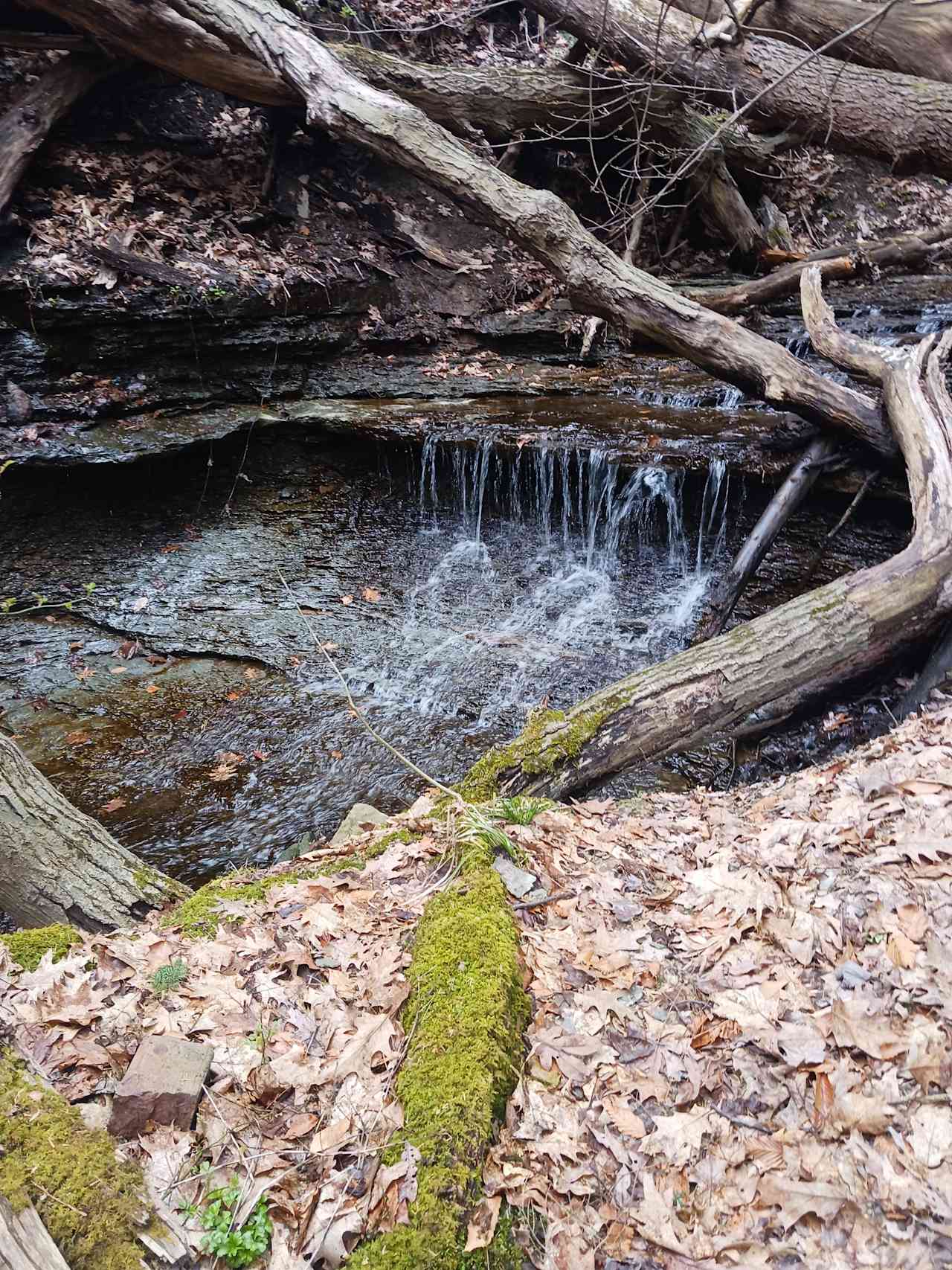 Hemlock Hideaway