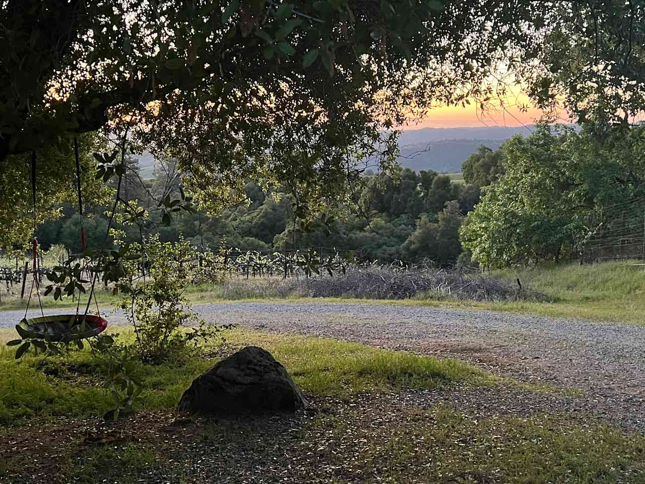 Camp 🏕 Gold Dust Vineyard