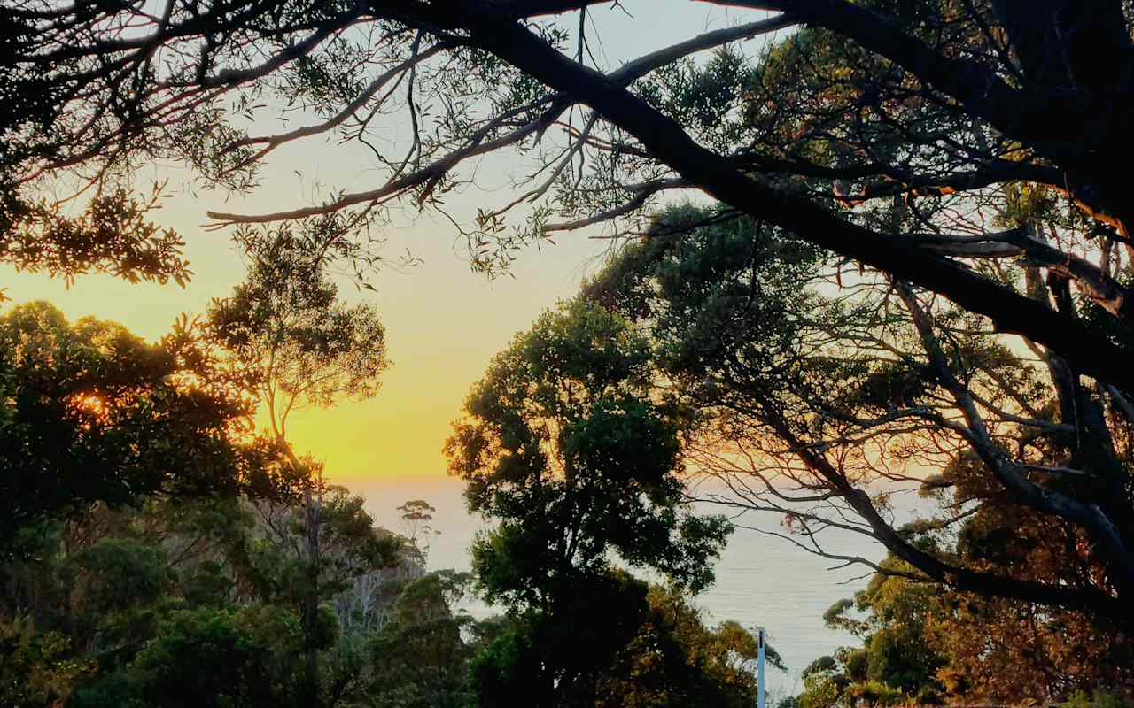 Sunrise