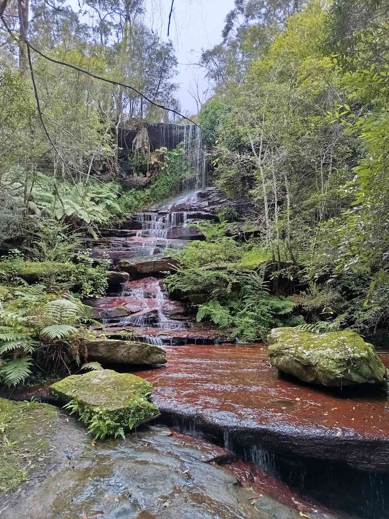 Fern Valley Ranch