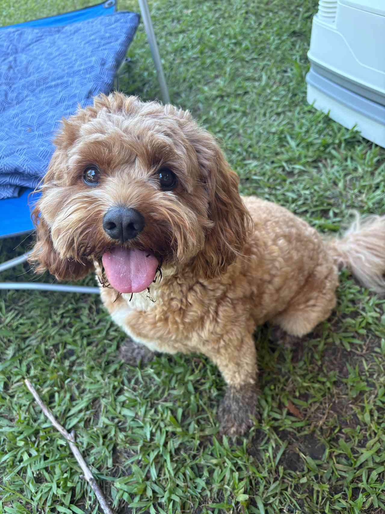 Had fun playing in the mud