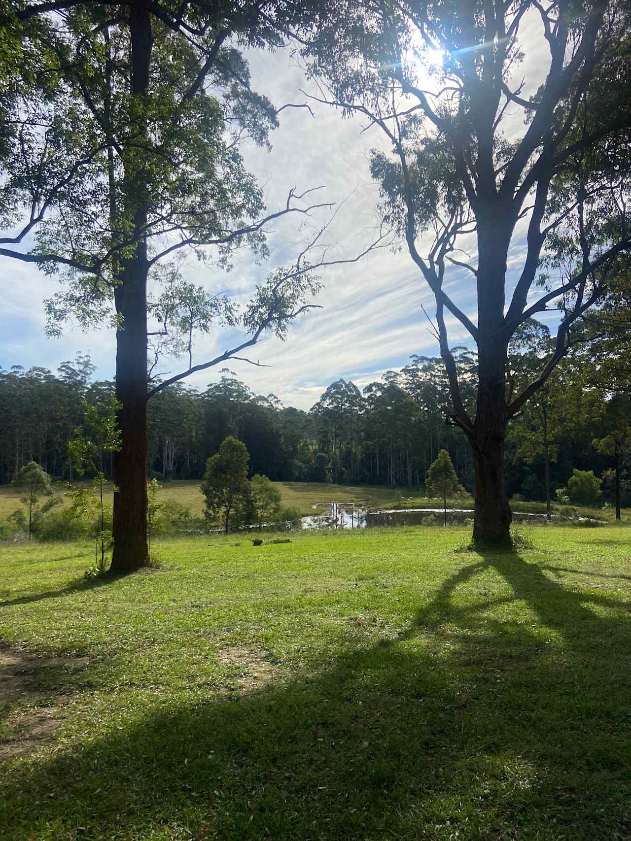 Coffs Harbour Camping & Farmstay