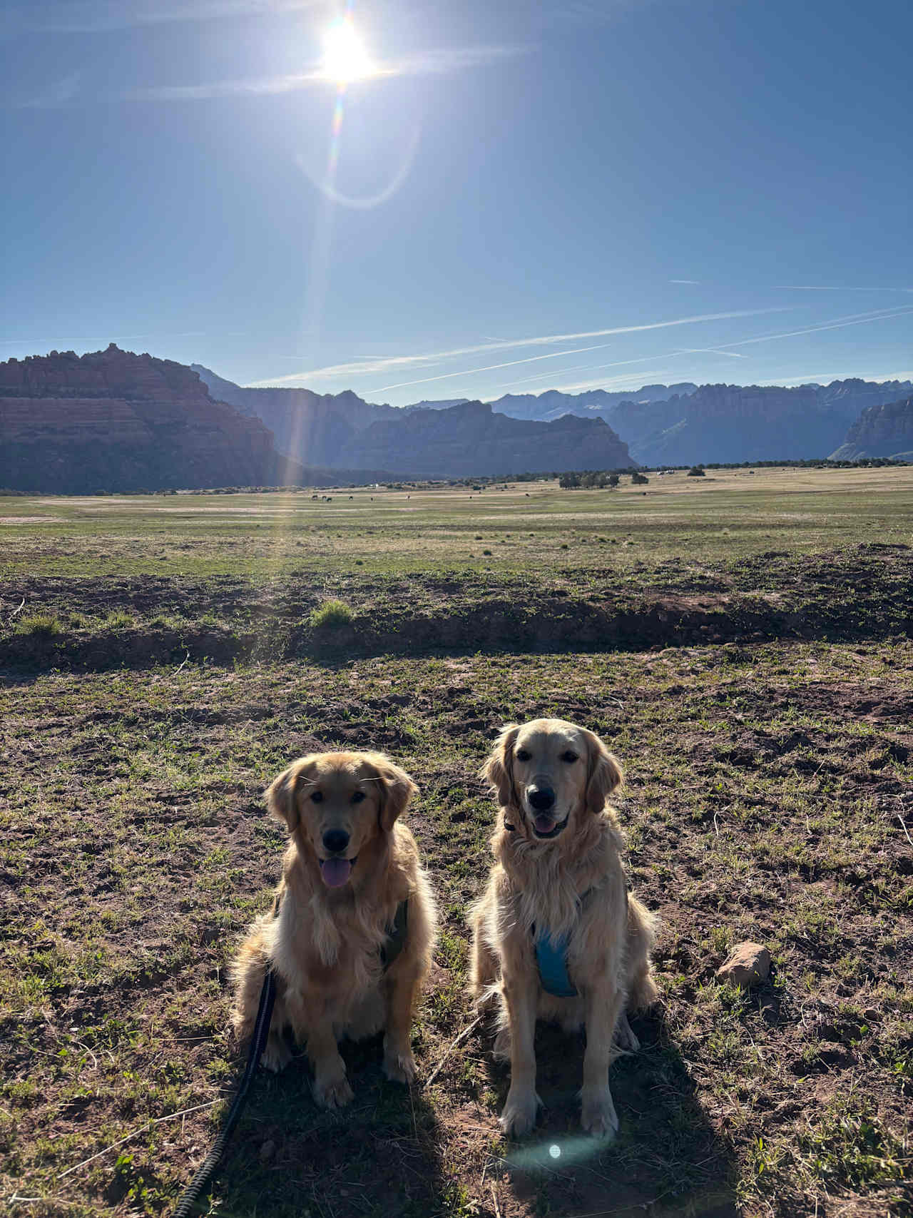 Zion Wright Ranch Eco-Camp