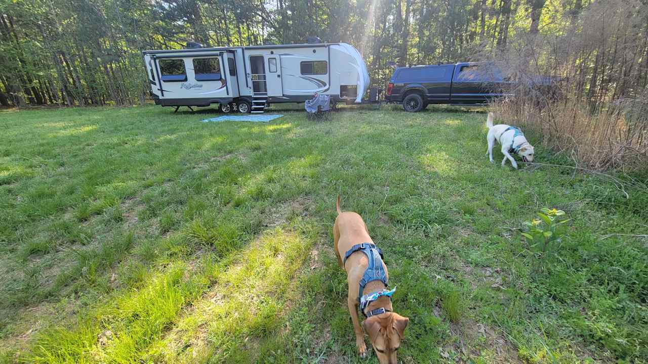 Rural Chapel Hill Forestry Stay