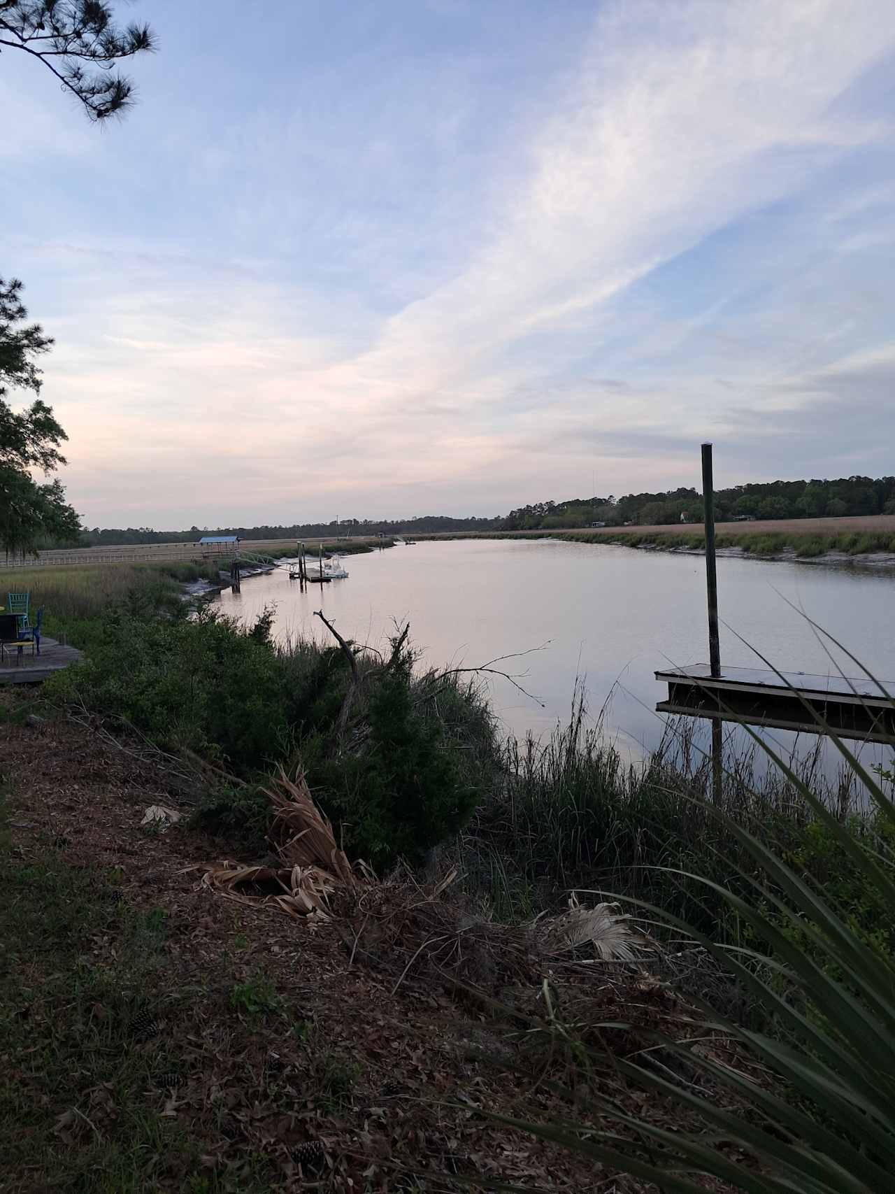Belle Bluff Island Campground 
