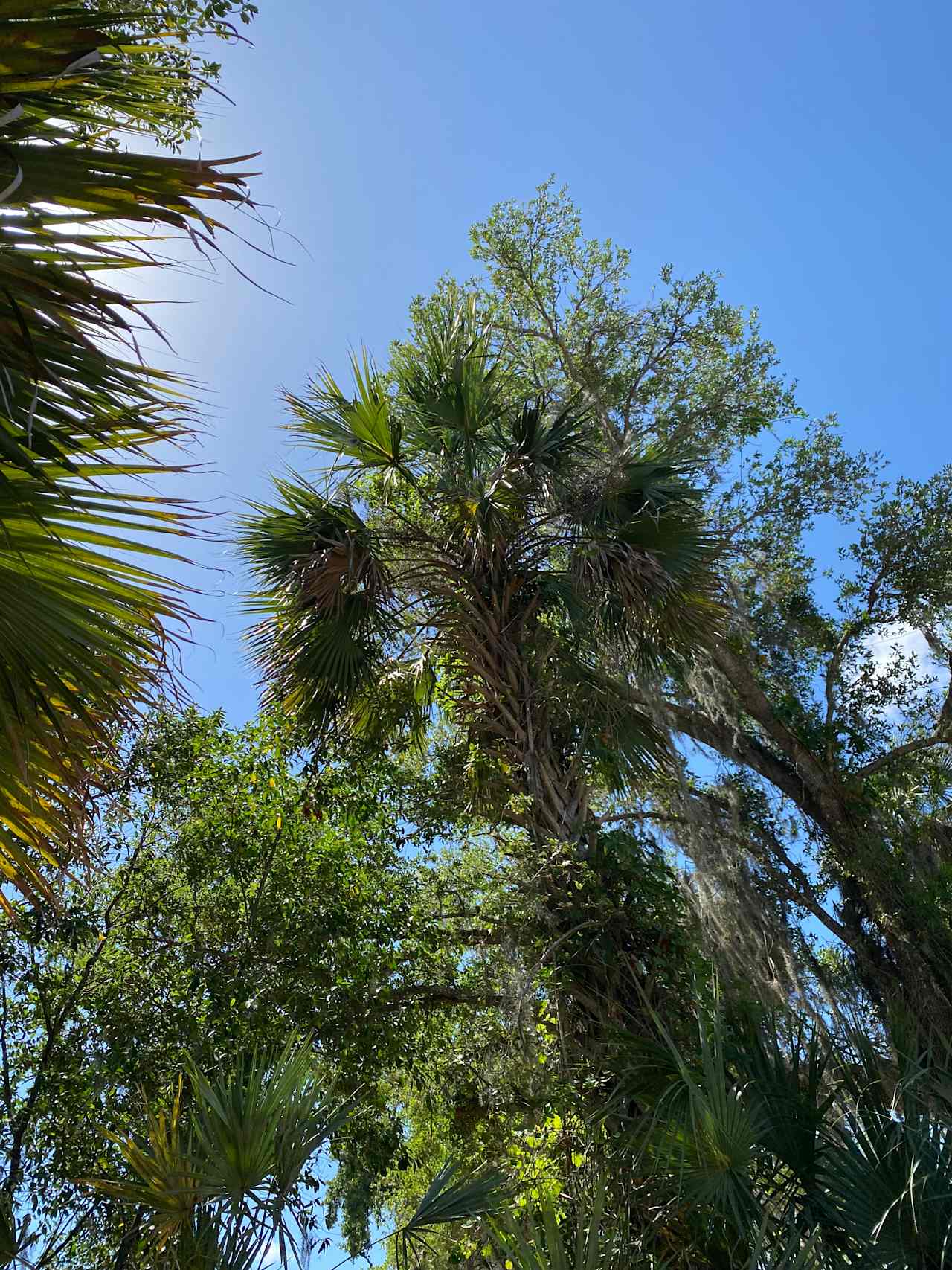 View from our camping couch.