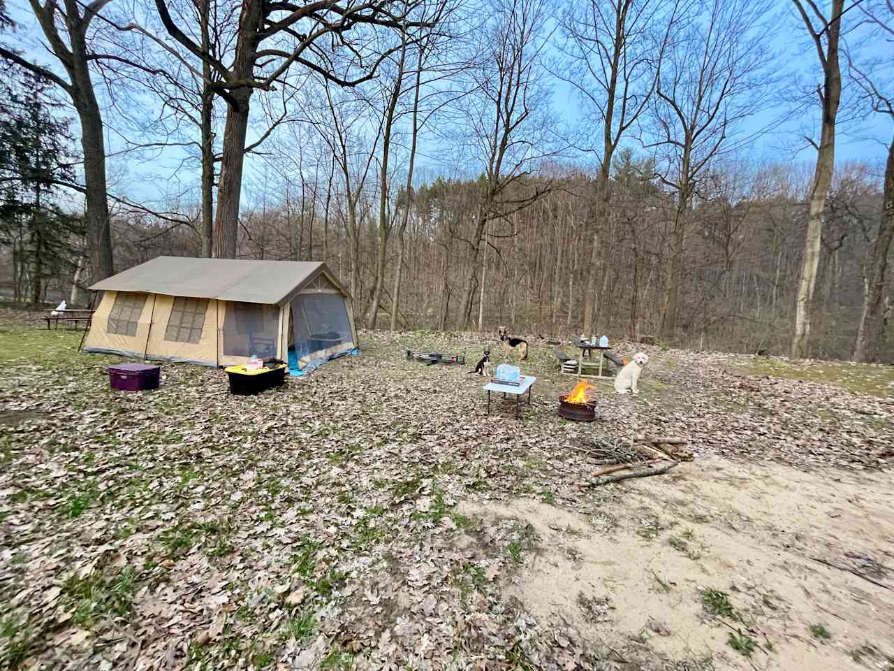 Forest Haven RV Park and Campground