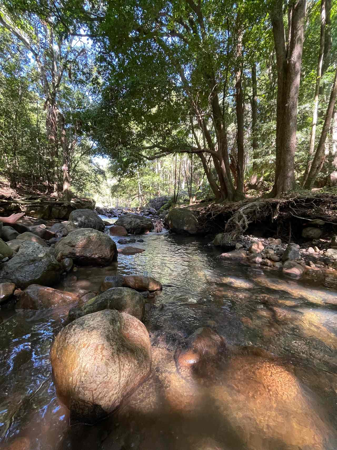 Mt Warning Rainforest Park