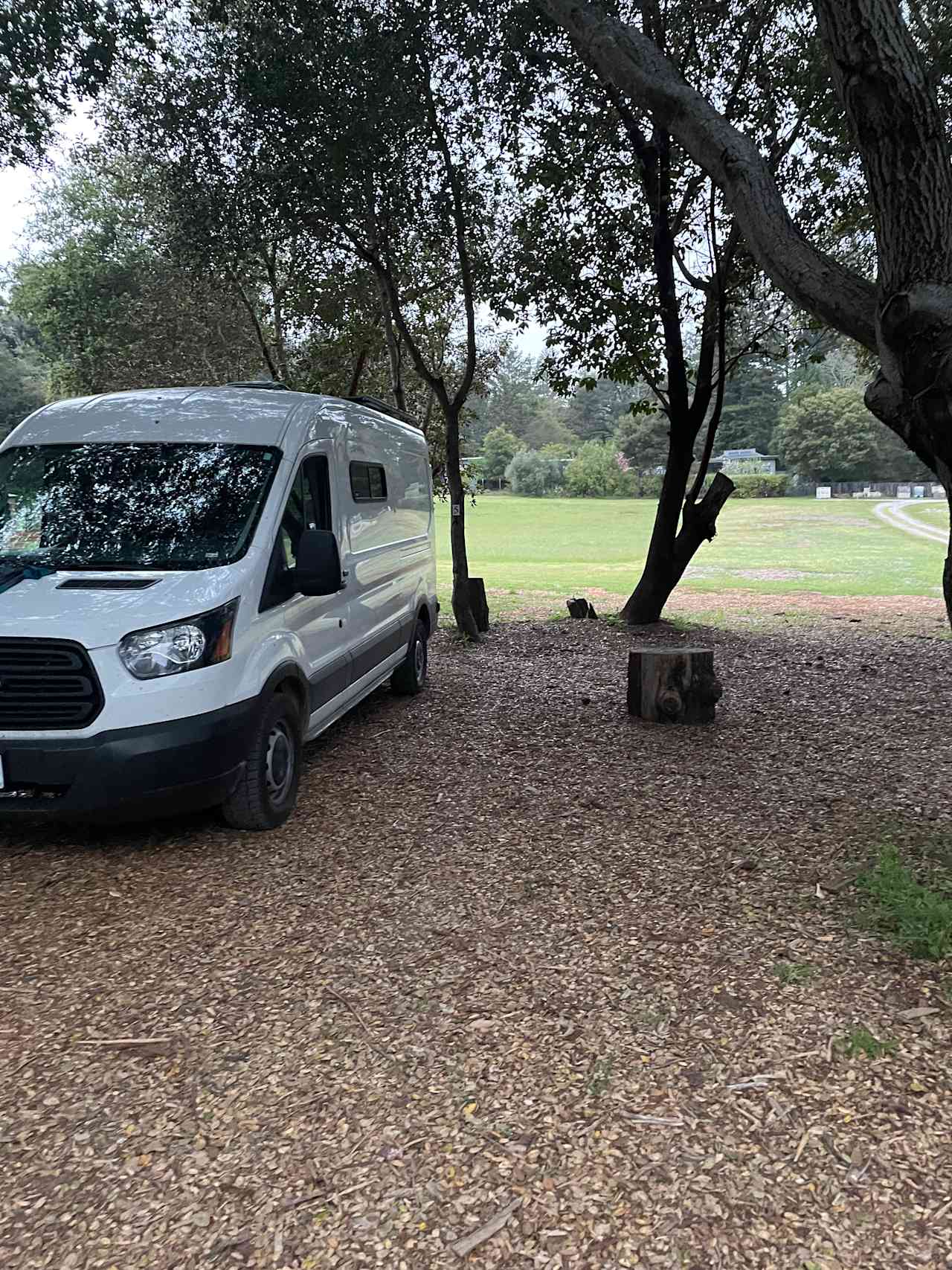 Felton Open Space Camp Sites