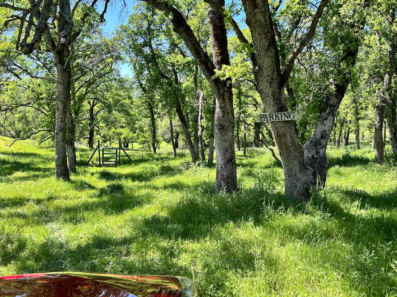 Ascension Ranch