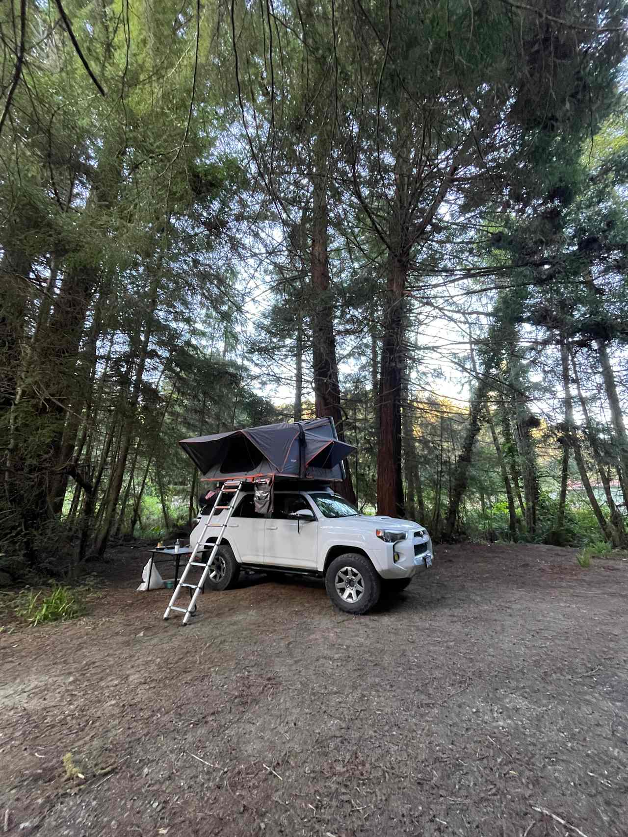 Mystic Forest Campground