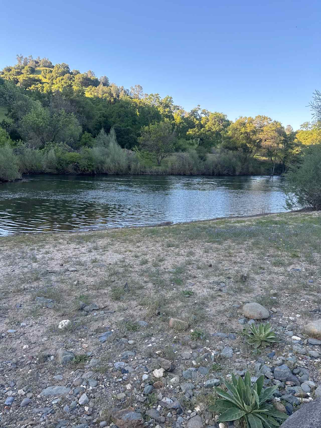 Cosumnes River Ranch
