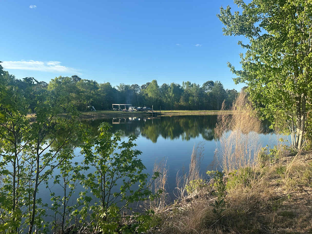 The Pine Tree Retreat