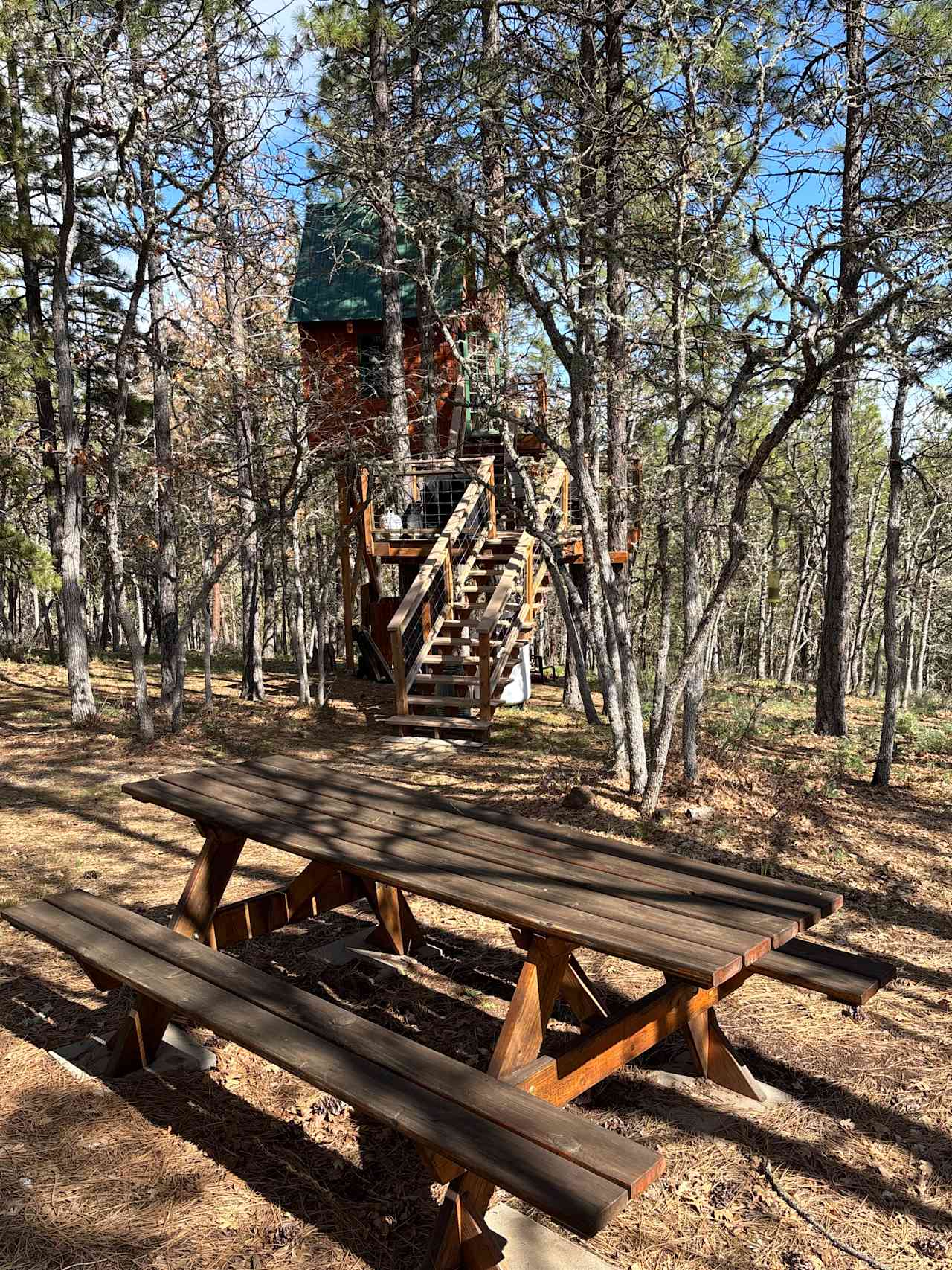 B&B Treehouse Ranch