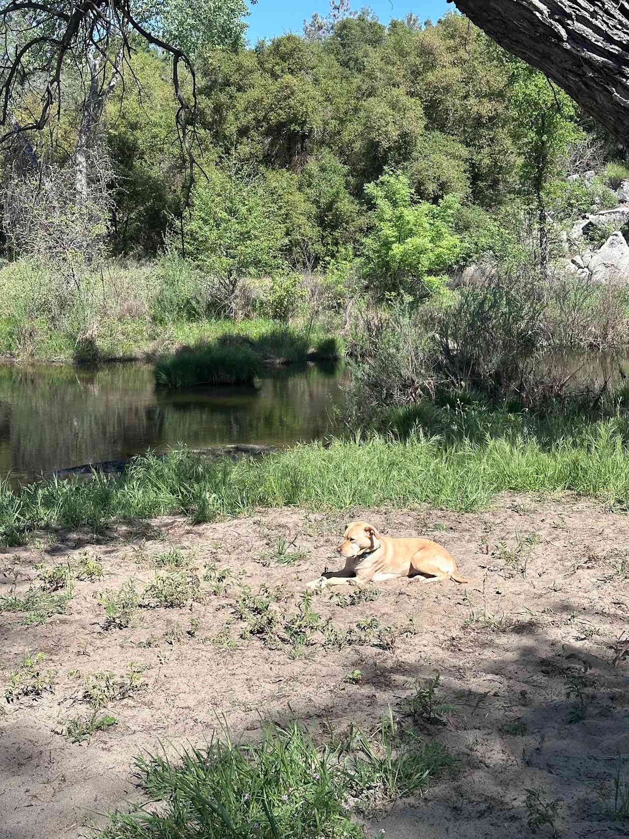 San Pedro Ranch
