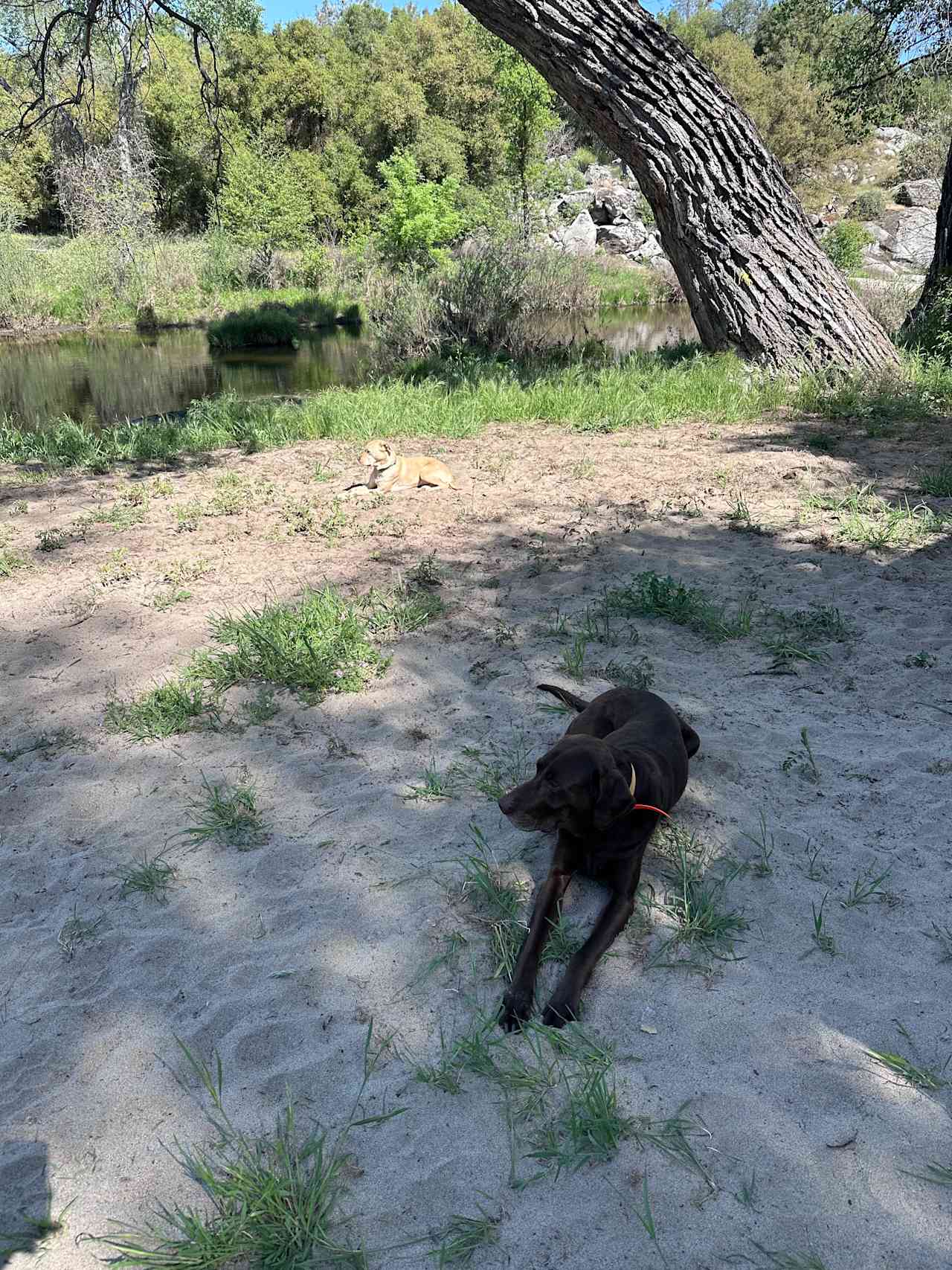 San Pedro Ranch