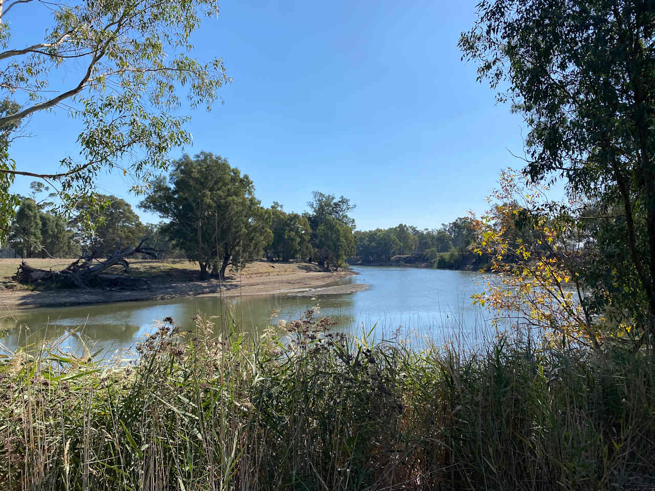 Palm Cove On The Murrumbidgee