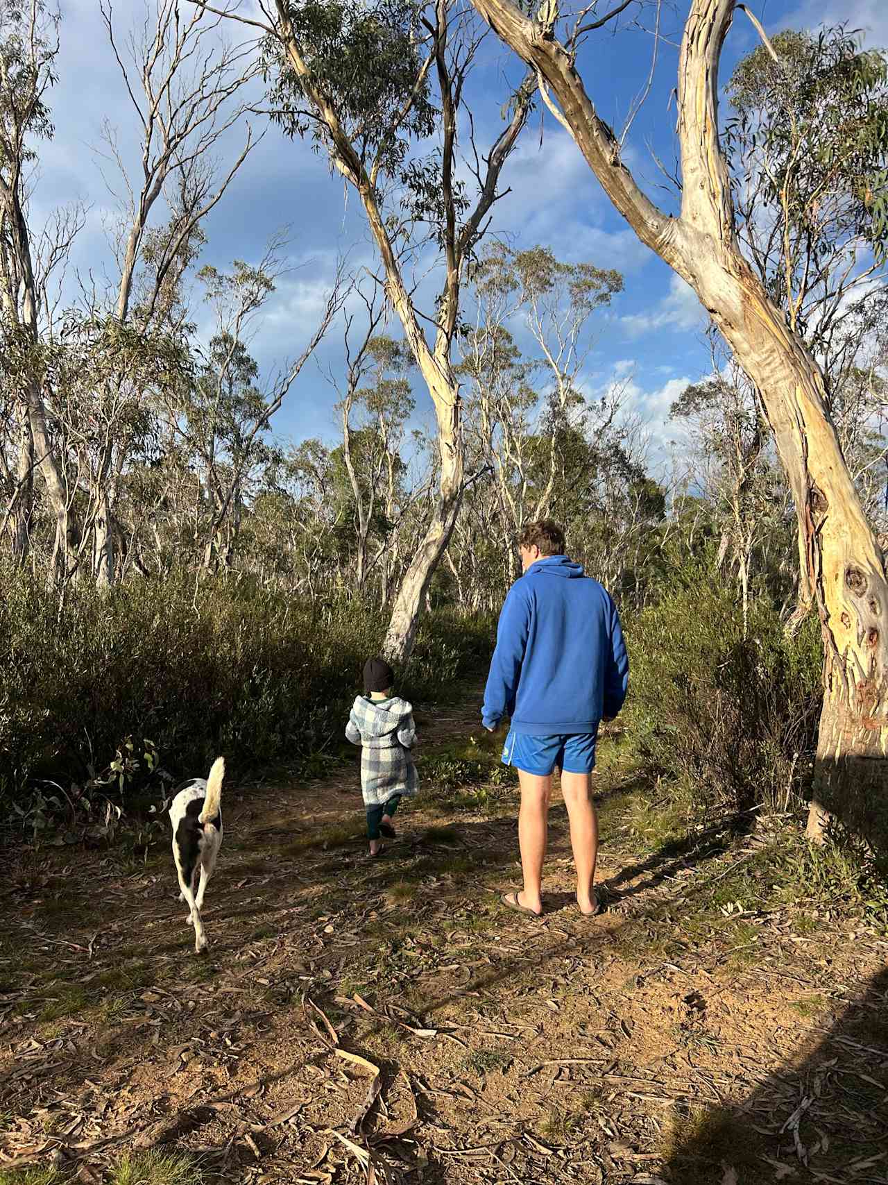 Scribbly Gum secluded bush camping