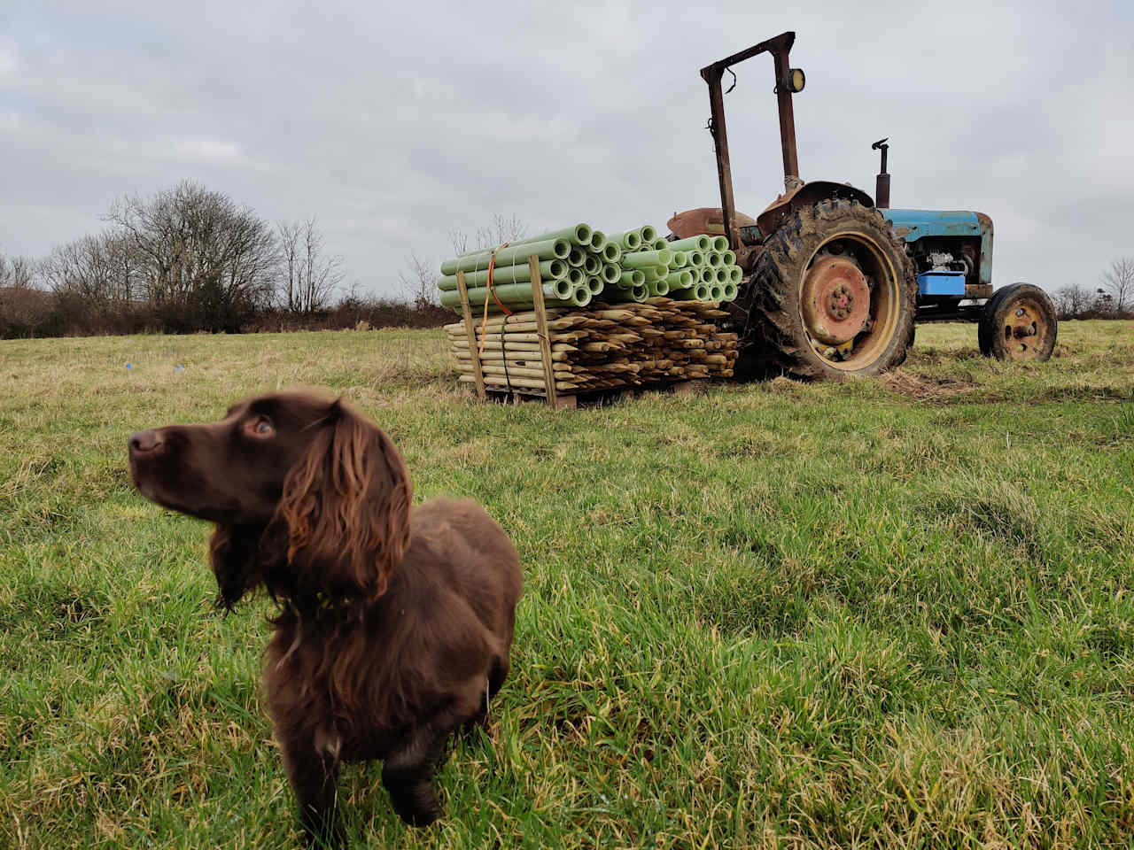 We are dog friendly! And can usually be found working in the fields 