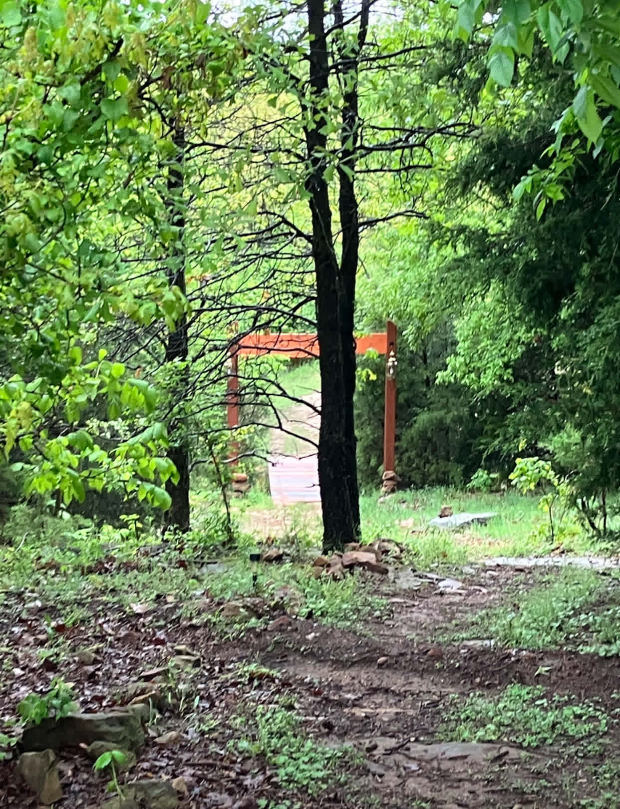 Bridge near sunshine 🌞 hut going deeper into campground