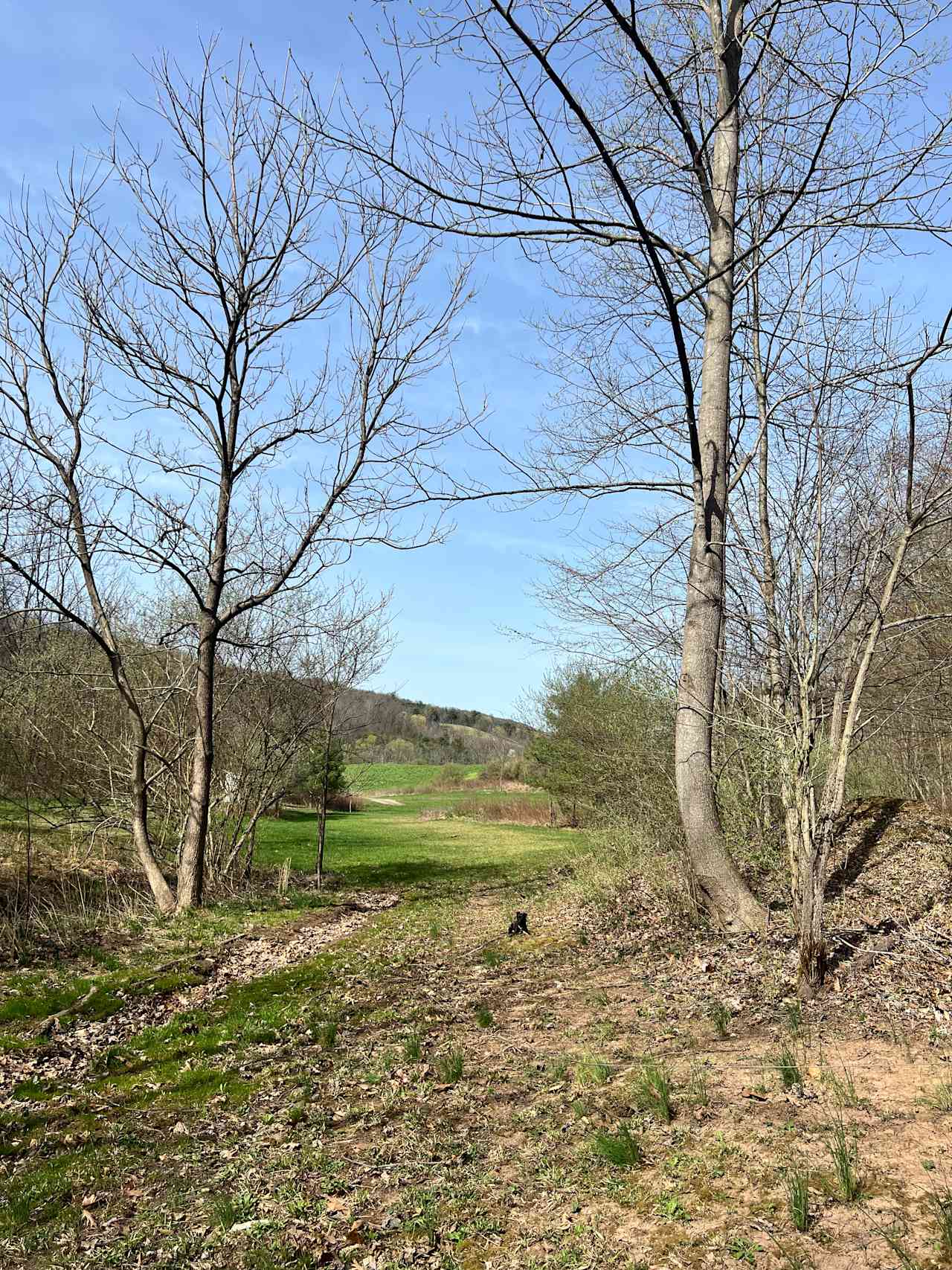 Wilson’s Boondock Hollow