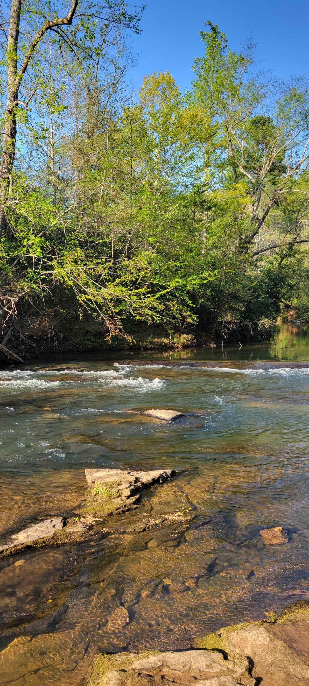 Tellurian Family Campground