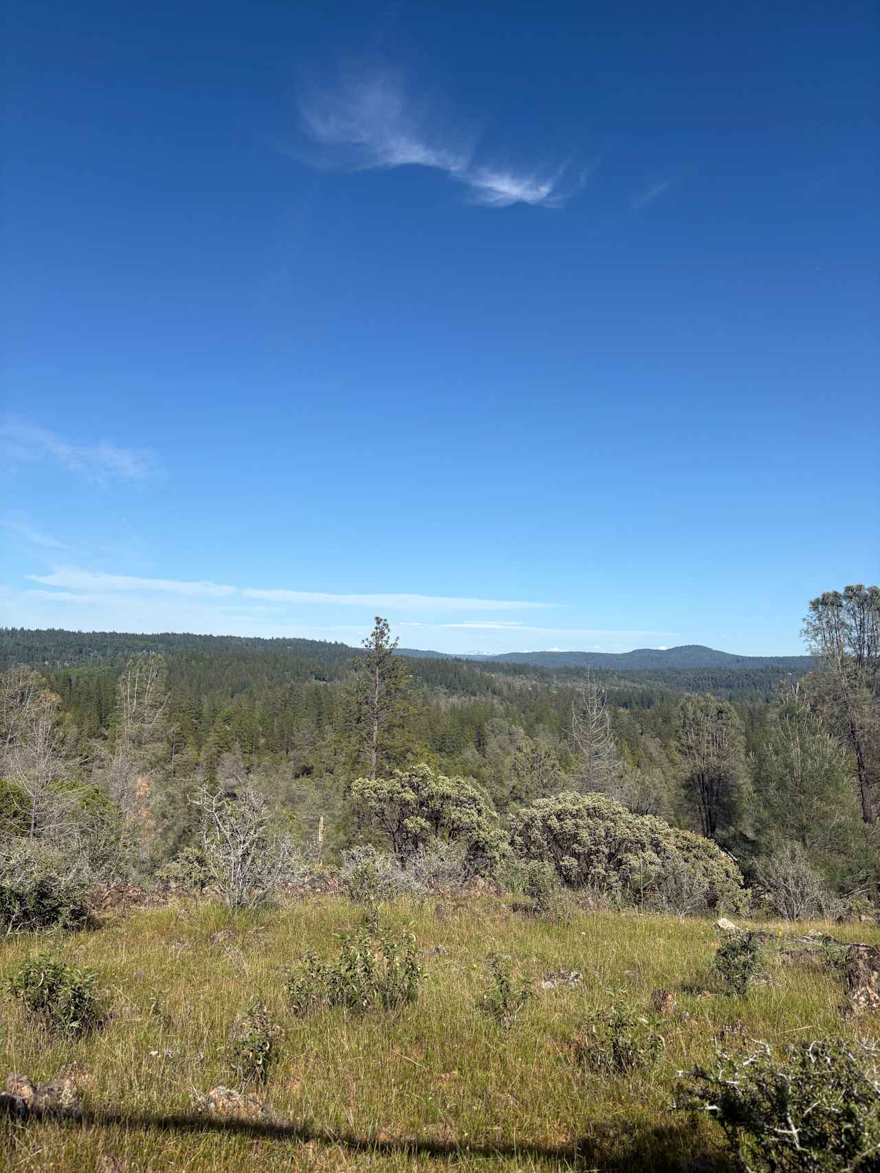 View from the swing at the top of the hill 