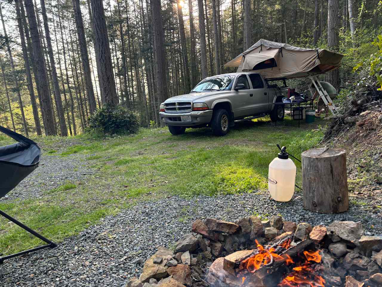 Site 7