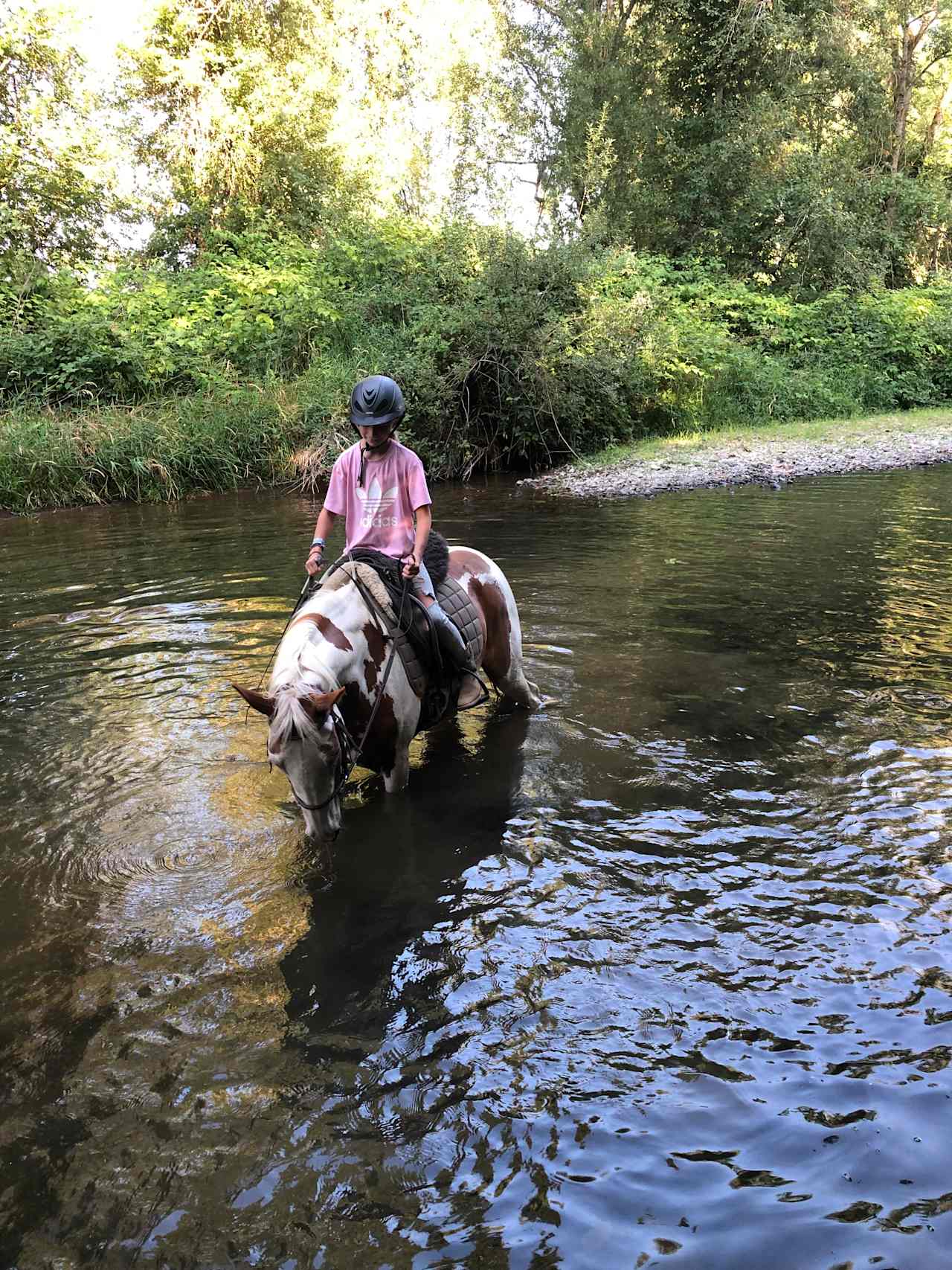 The Traveling Gypsy Ranch