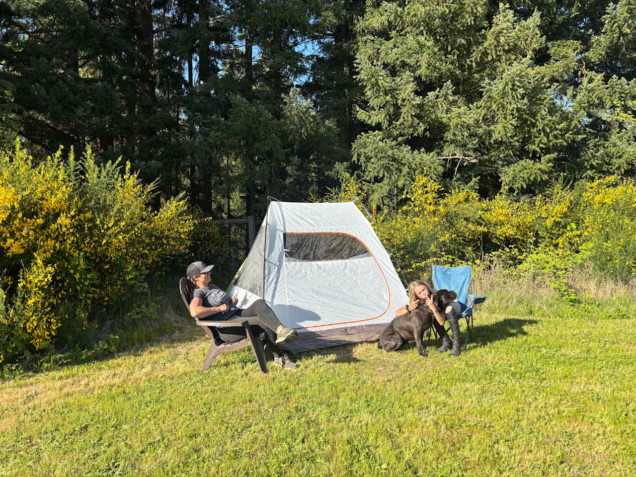 The Traveling Gypsy Ranch