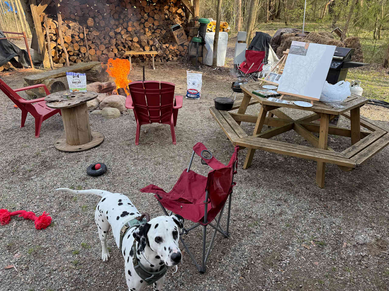 Camper On 11 Acres, Private Site
