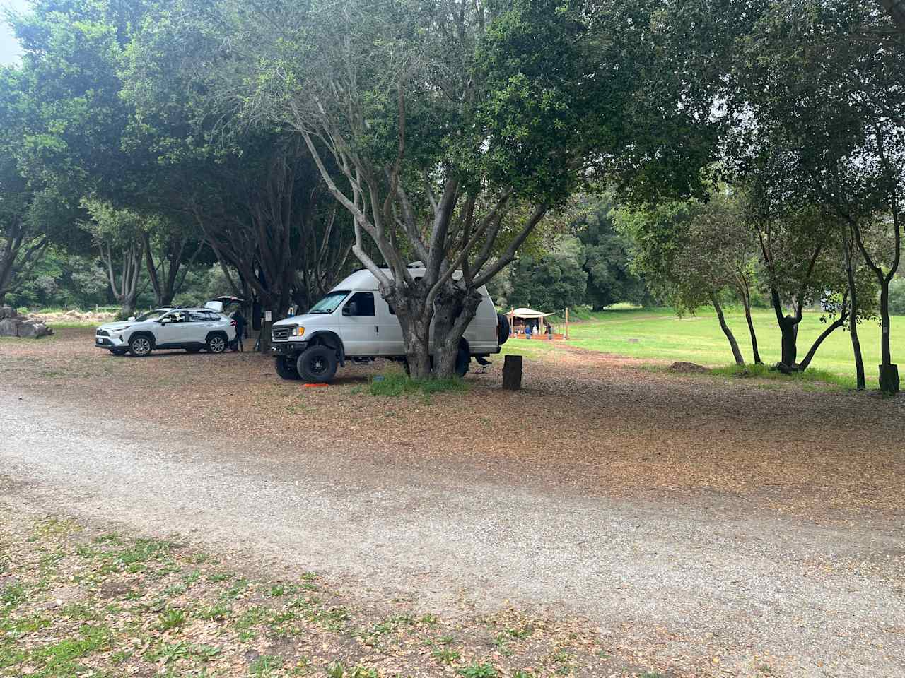 Felton Open Space Camp Sites