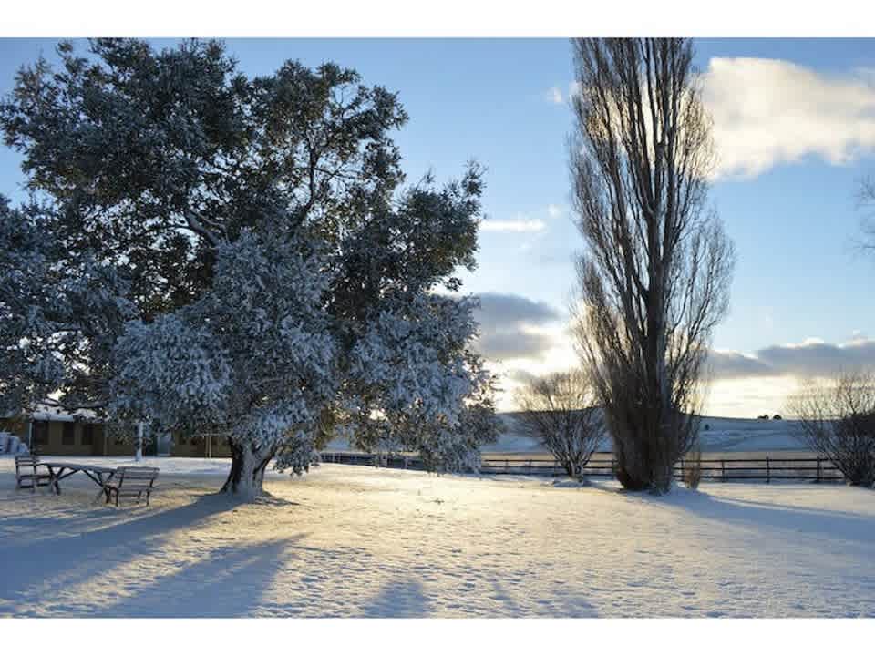 Snowy Accommodation