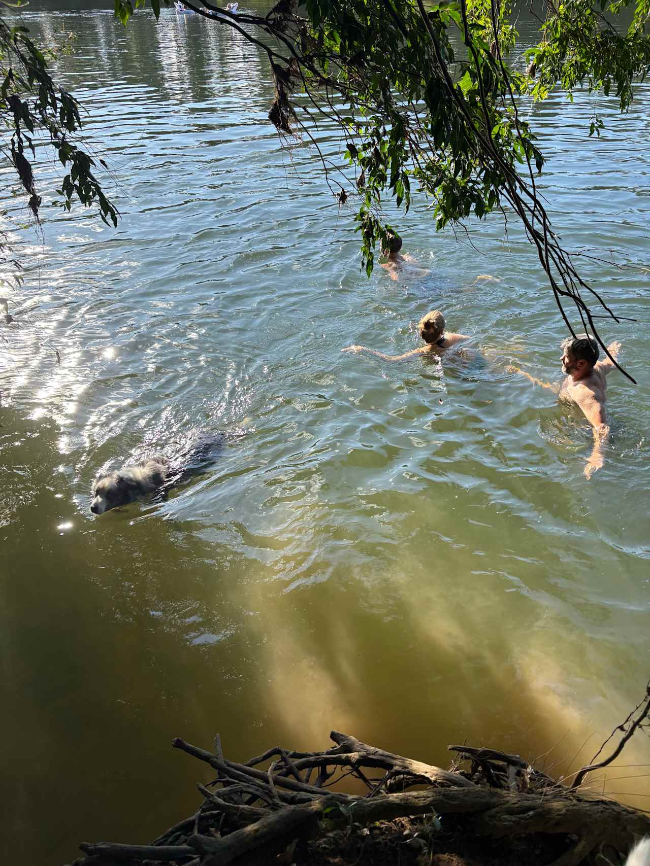 Swimming in the river 