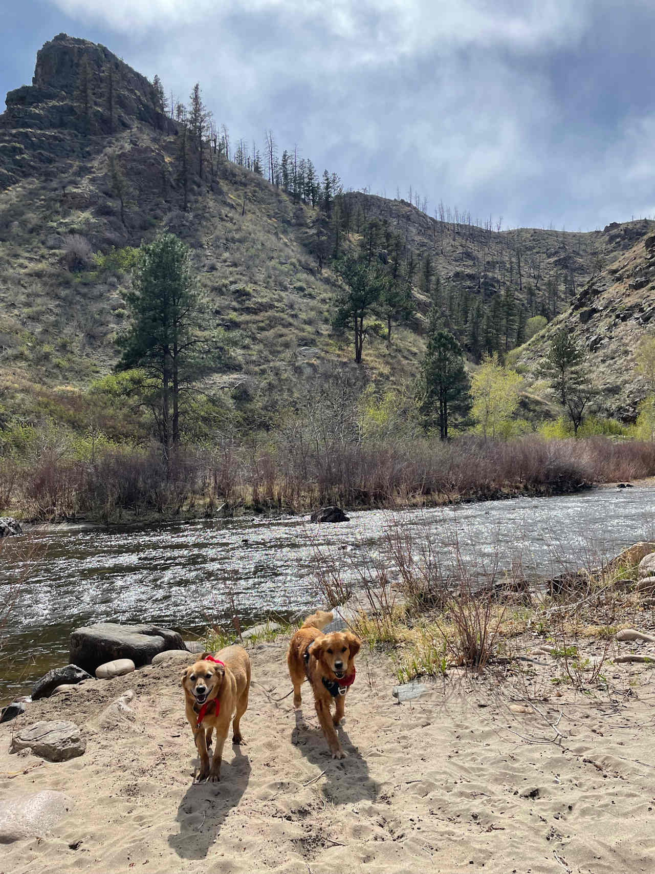 Basecamp On The Poudre