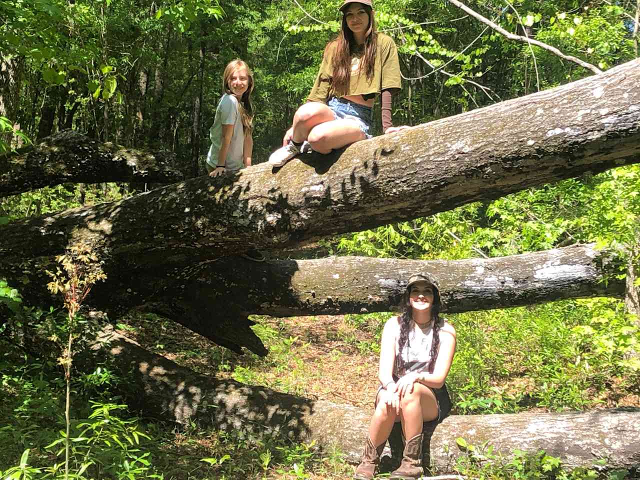 Gotta love a good fallen tree pose.