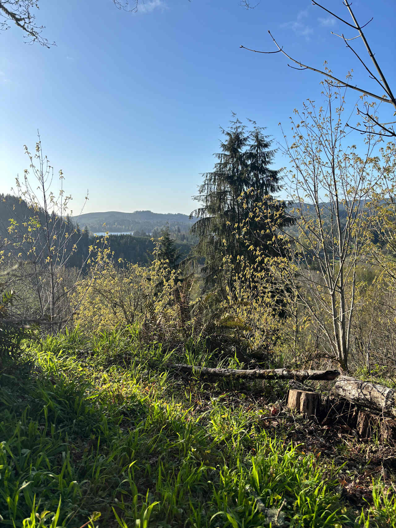 Alder Grove Retreat