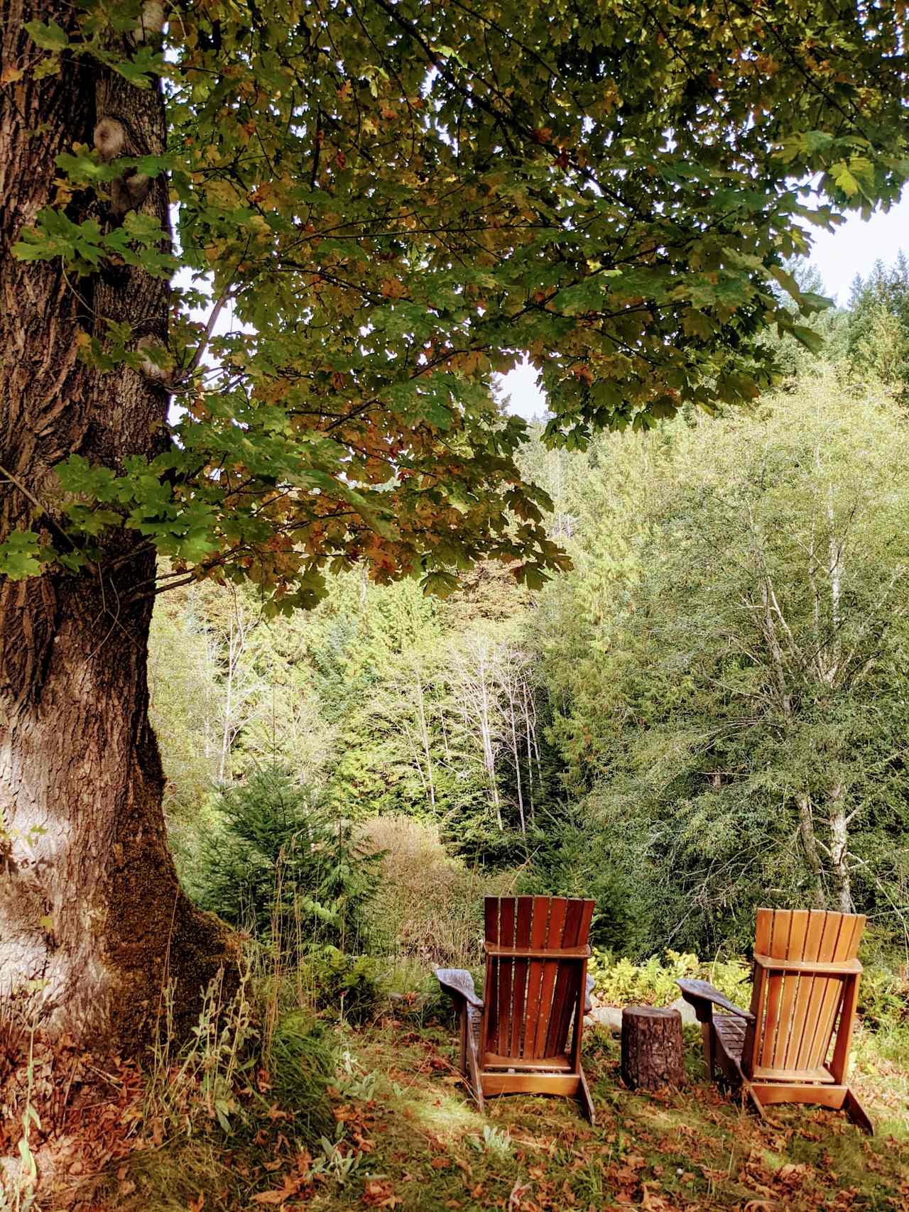 Natures Way Yurt & Spa