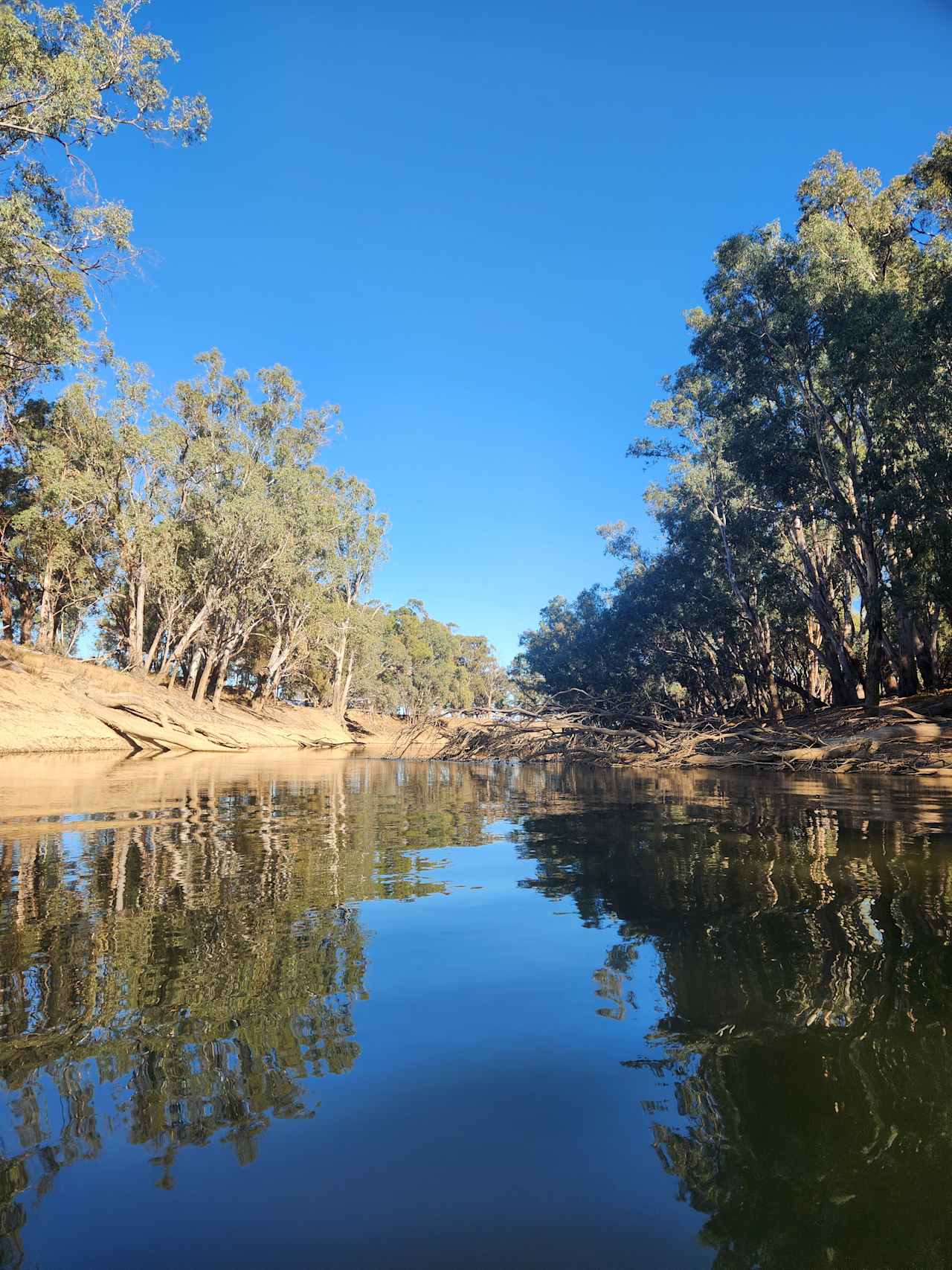 Goulburn Downs