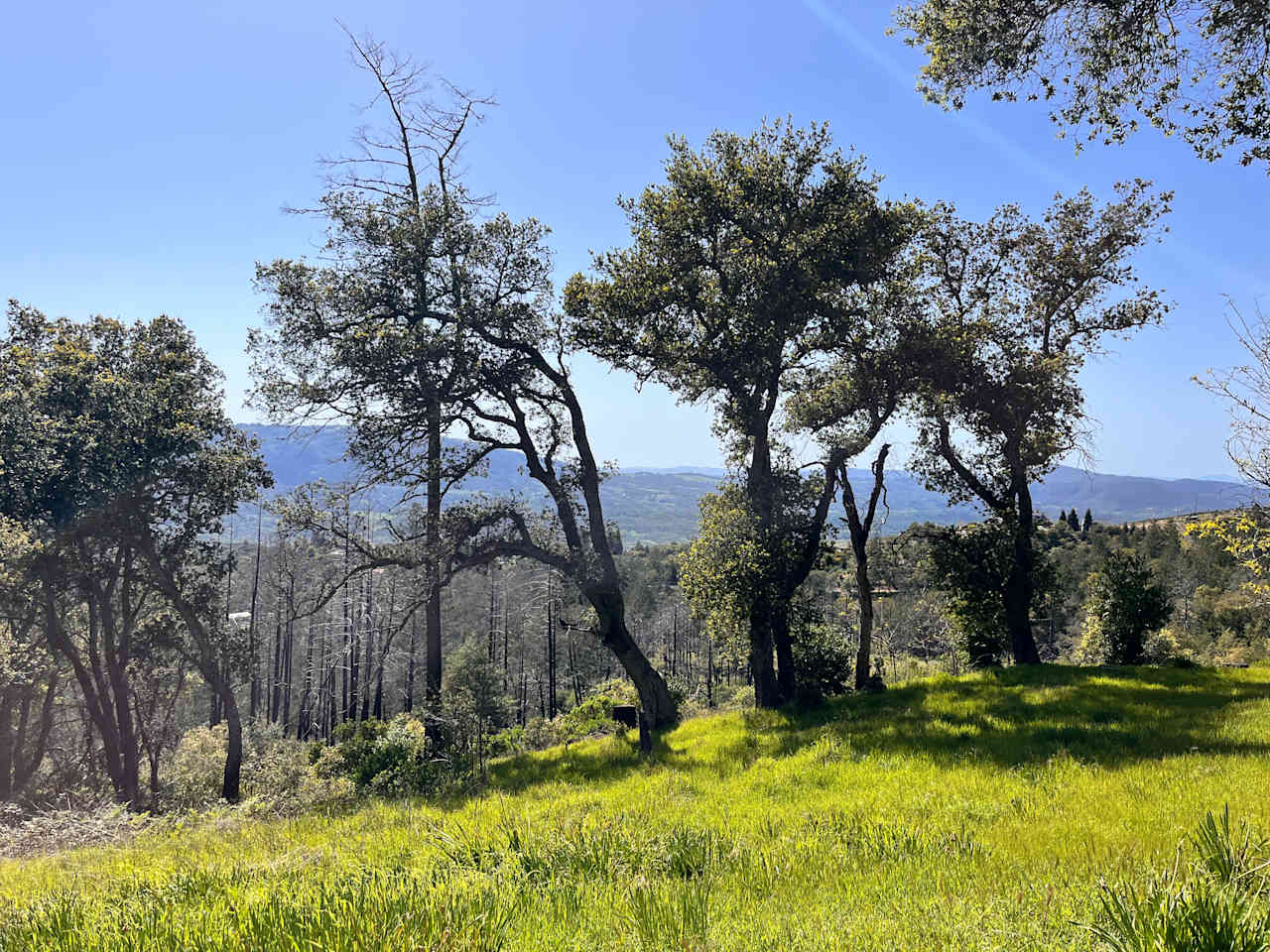 Above the Clouds RV Park