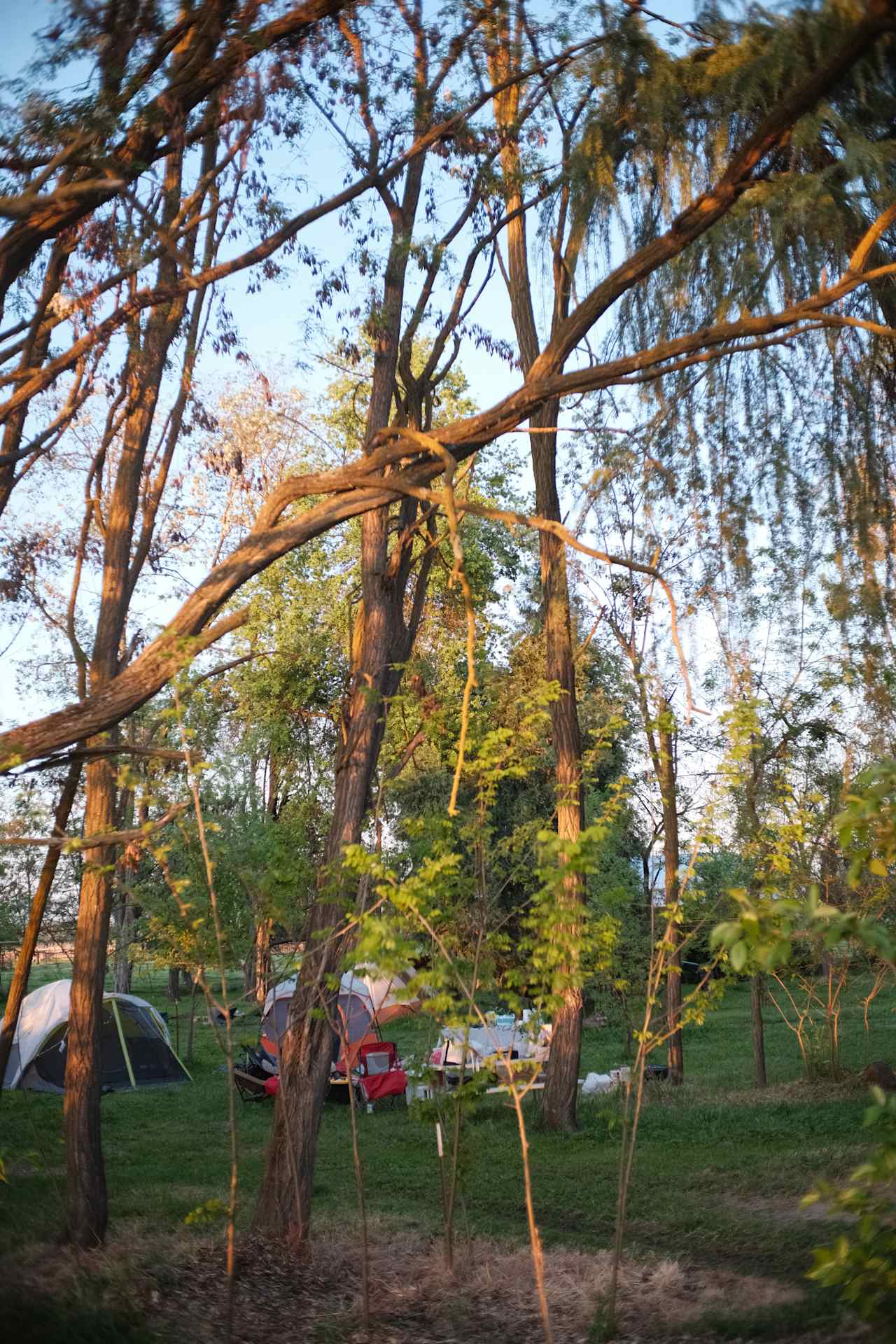 Our campsite 🏕️ 