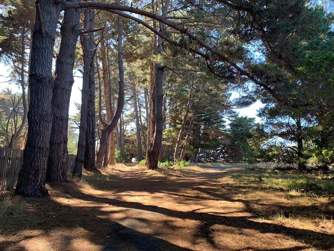Gualala Point Regional Park